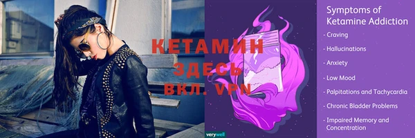 молекула духа Бородино