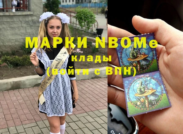 молекула духа Бородино
