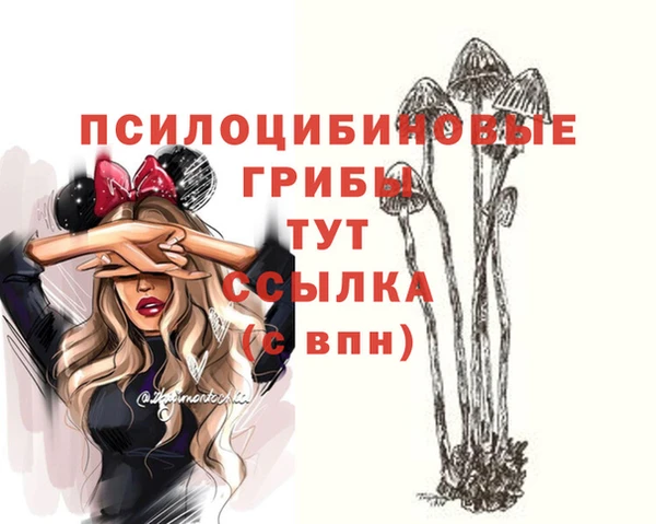 молекула духа Бородино