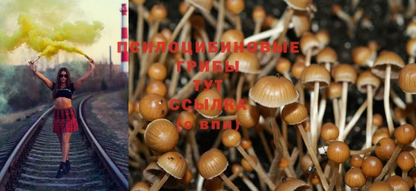 гидропоника Верхний Тагил