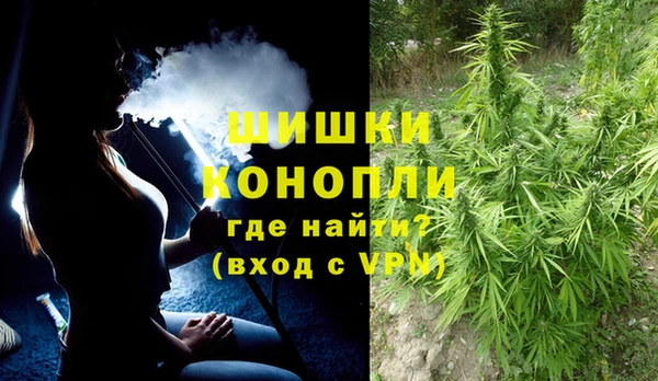 молекула духа Бородино