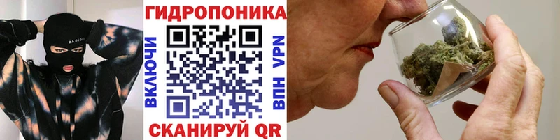 Бошки Шишки план  Гдов 